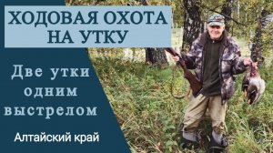 Две утки одним выстрелом. Ходовая охота на утку