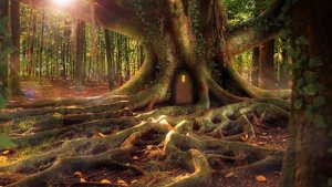 Расслабляющая Музыка. Музыка Волшебного леса | Relaxing Music. Music of the Magic Forest