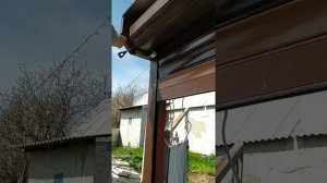Настройка привода роллетного внутривального RS 50\12 DoorHan