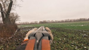 Охота на зайца по Чернотропу. Собака подняла зайца