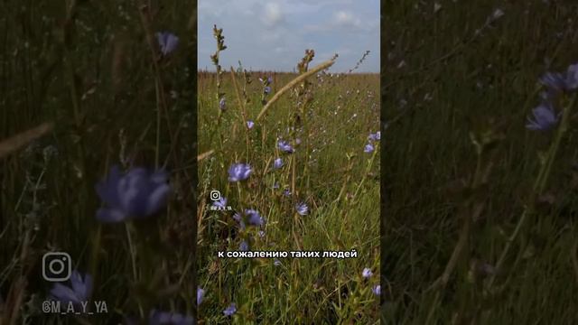С какой целью люди ищут предназначение ?
