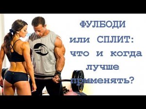 Тренировки «ФУЛБОДИ» или «СПЛИТ»: что и когда лучше применять?