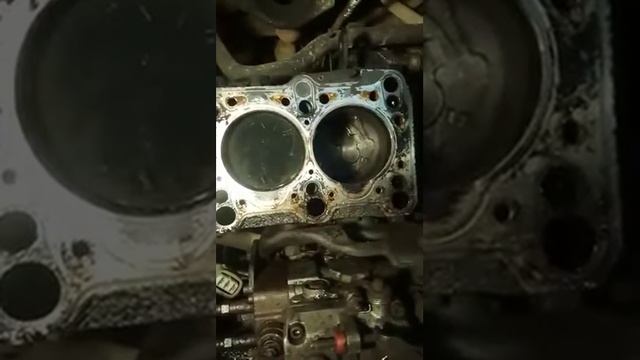 Надежность моторов на Volkswagen T4 смотреть онлайн