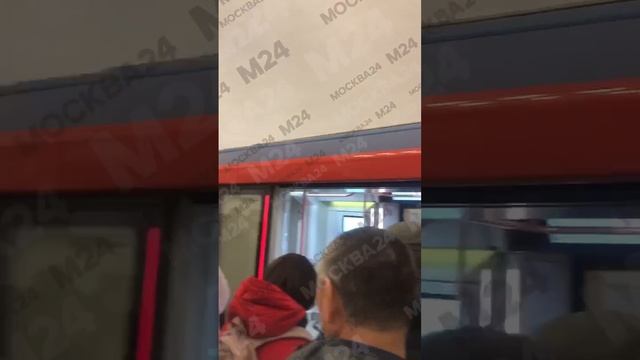 На Кольцевой линии метро нет движения поездов от станции «Курская» - Москва 24