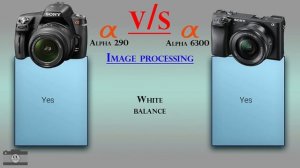 Sony Alpha 290 vs Sony Alpha 6300