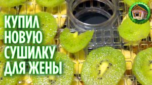 Сушим фрукты ягоды и грибы. Купили Дегидратор Oberhof Fruchttrockner A-15. 200 серия