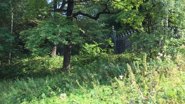 Музей заповедник Царицыно, Аллея, Москва, район метро Царицыно смотреть онлайн