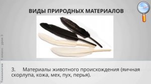 Технология 1 класс (Урок№3 - Природа и творчество. Природные материалы. Листья и фантазии.)