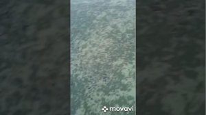 Обзор палатки стэк куб 3 дубль