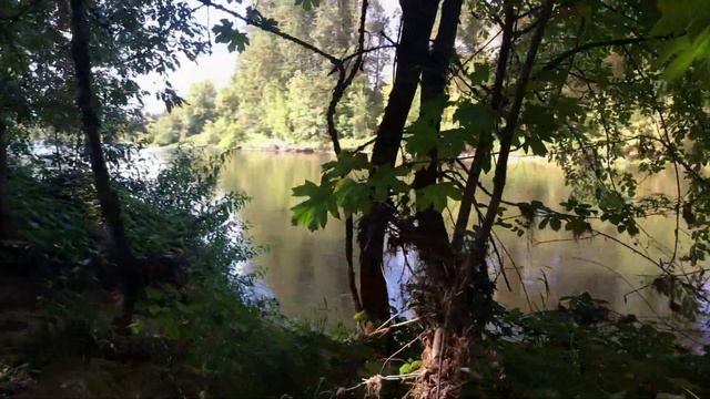 Armitage County Park / RV & Tent Campground, Eugene, Oregon / A Review of a Campground Fav! смотреть онлайн