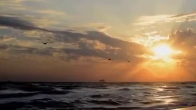 Нас тянет к тем,кто душу обнимает.Очень хороший,трогательный стих! смотреть онлайн