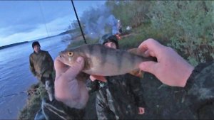 ВЕСЁЛАЯ РЫБАЛКА \ Часть 2 \ ФИДЕР - УДОЧКИ \ КОСТЁР У РЕКИ