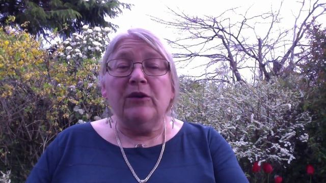 Leonardo Constellation by Ruth Aylett смотреть онлайн