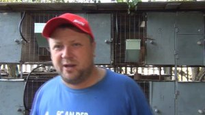 Лучшие кролики для мяса! Лучшее лекарство против кокцидиоза! Кролики европейских кровей! Бургундски