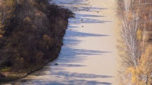 Река Желтуга Могочинский район