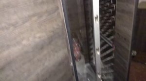 Коптильня холодного копчения, электростатическая cosmogen csfe-2000t