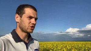 Капустная моль - контролируем на раз, два, три ?