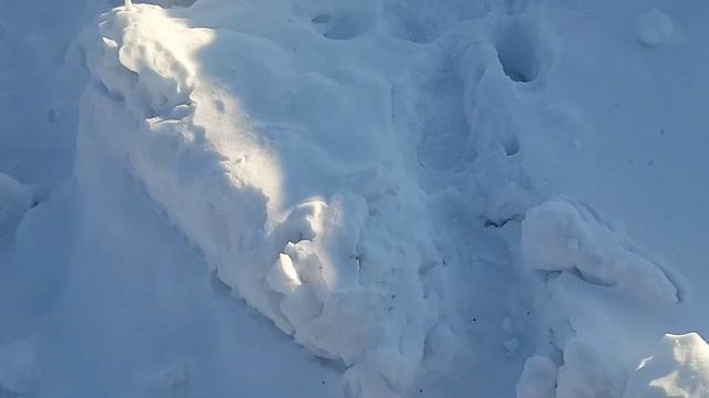 Жизнь в деревне. Утренний влог. Сходил на гору.