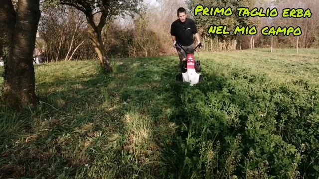 Motofalciatrice m85 primo sfalcio erba nel mio campo смотреть онлайн