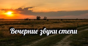Вечерние звуки степи.mp4