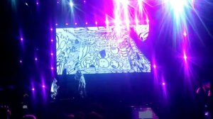 Die Antwoord - Enter the Ninja Lollapalooza Argentina 19-3-2016