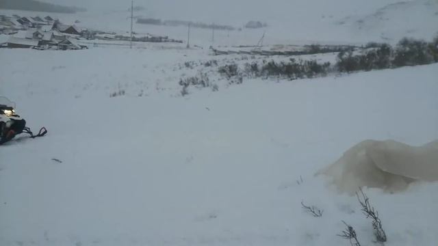 Lynx 600 e-tec 2016г. смотреть онлайн