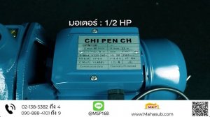 Chi Pen ปั้มน้ำหอยโข่ง CPM-130