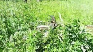 Внимание!!! упал с забора и сломал руки!!! открытый перелом!!!