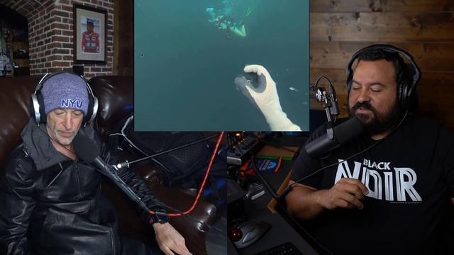 DIVERS REACT TO UNDERWATER PANIC ATTACKS смотреть онлайн
