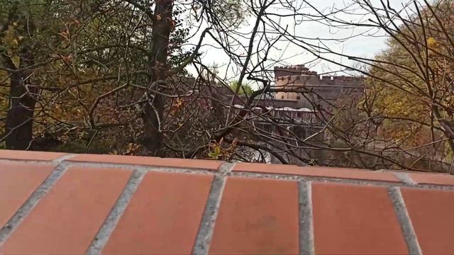 Гуляем по Калининграду. 27.10.2022 г. смотреть онлайн