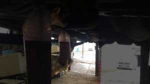 АКПП заливка масла. Форд Эксплорер 3 своими руками