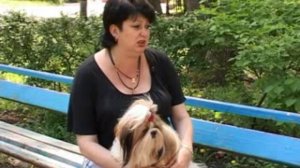 Характер ши-тцу