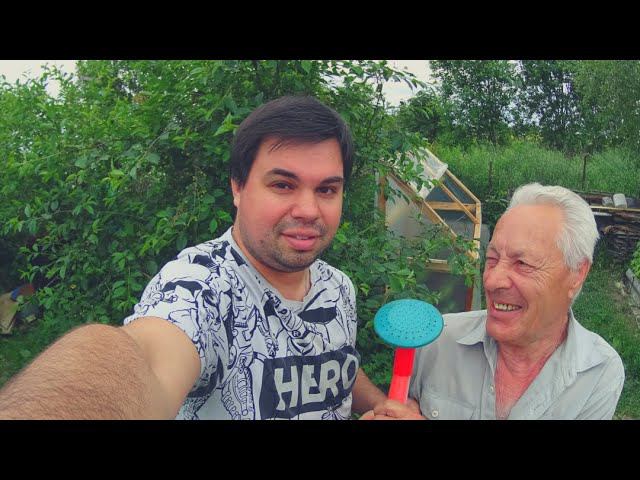 Болезнь клубники. Уход за перцем.