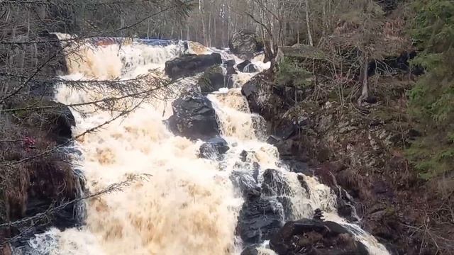 Водопады Молочный (Андронинский) и Белые Мосты (Юканкоски). Карелия. 2021 год