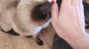 мое доброе утро☀ сегодня дома не пошла на работу ??23 декабря 2022?