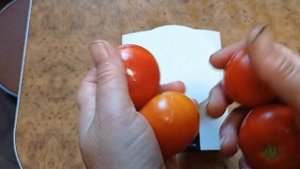 Томат Палка .краткий обзор .