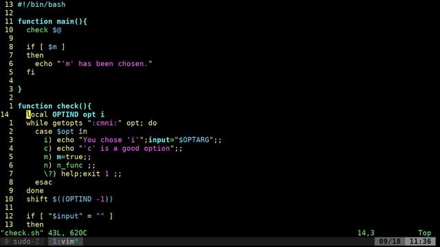 Command Line Arguments with getopts Linux Shell Programming BASH Script Tutorial