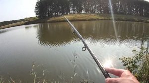 РЫБАЛКА! ЛОВЛЯ КАРАСЯ И КАРПА НА КОММЕРЧЕСКОМ ВОДОЕМЕ...