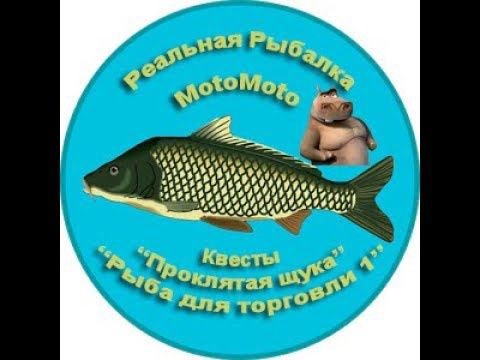 Квесты 
