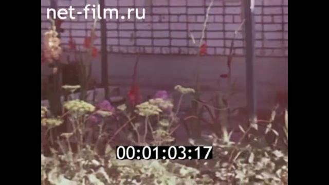 1979г. колхоз Красный маяк. деревня Серково Городецкий район Горьковская обл смотреть онлайн