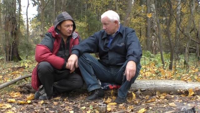 Брухо Shamanis  a 323