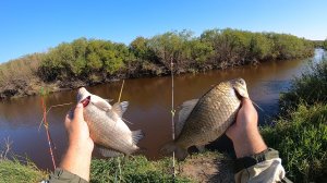 рыбалка на карася ловля карася на фидер