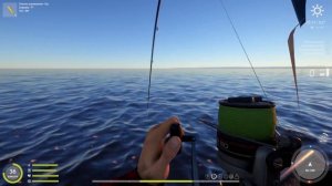 Tama Silver 80 на практике с Лососем Атлантическим. Ладожский архипелаг. #рр4