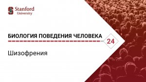 Биология поведения человека_ Лекция #24. Шизофрения [Роберт Сапольски, 2010. Стэнфорд]