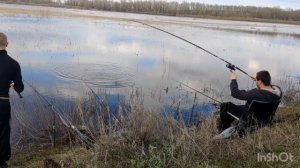 Открытие летнего сезона 2023 В Оренбурге??Караси на поплавок ? #рыбалка #shorts #летняярыбалка