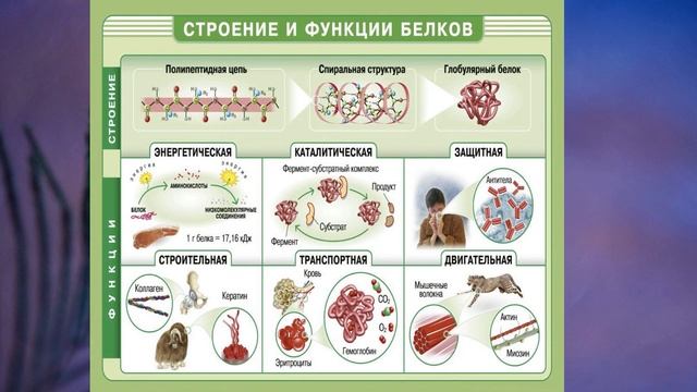 §2 "Химический состав клетки", Биология 6 класс, Сивоглазов.