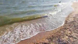 СТАНИЦА ДОЛЖАНСКАЯ. КОСА ДОЛГАЯ. АЗОВСКОЕ МОРЕ 2019. ОТДЫХ НА МОРЕ.