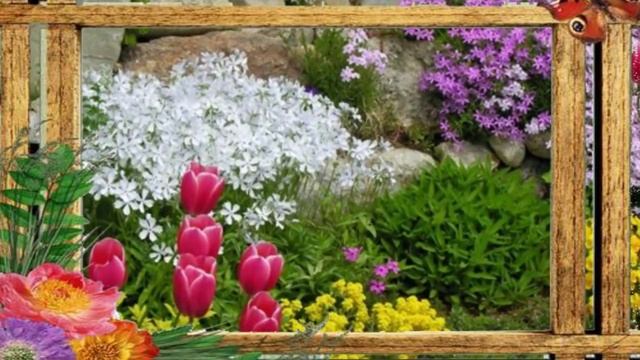 Цветники на даче и возле дома. смотреть онлайн