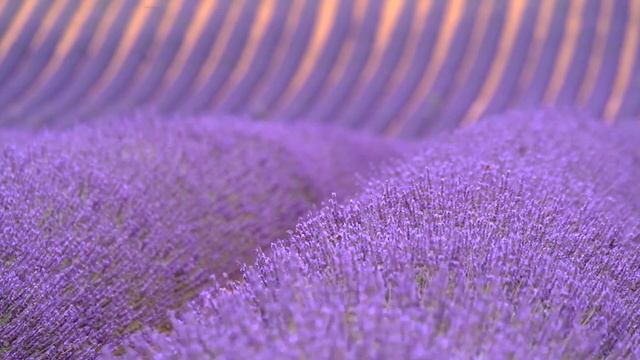 Топ лучших любовных песен саксофона,гитары и фортепиано-Сладкие мелодии любви,Тихое кафе.Sax-Guitar смотреть онлайн