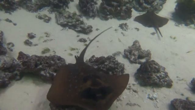 тест фотоаппарата смотреть онлайн